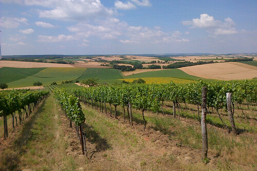 Franziskusweg Weinviertel