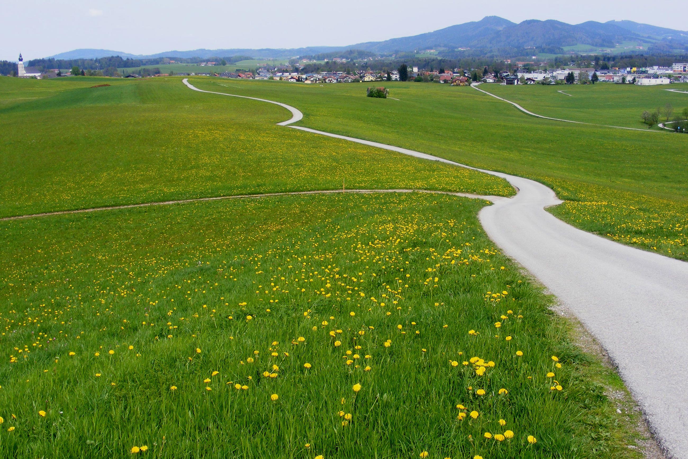 Pilgern auf dem Jerusalemweg